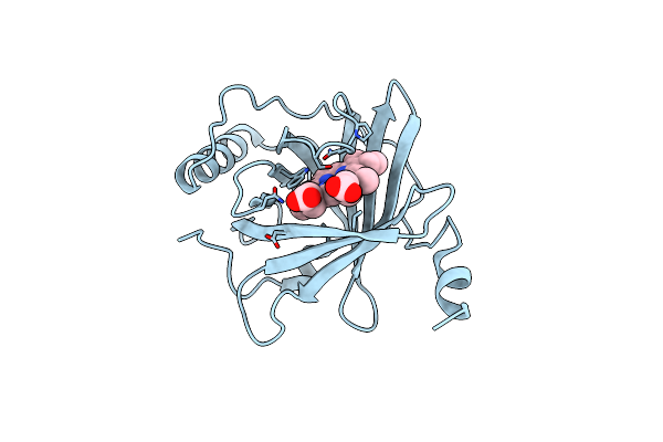 8WB2 image