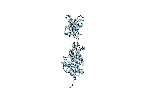 8WB8 image