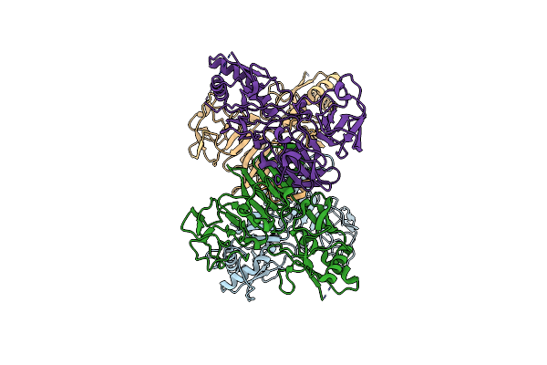 8WBC image