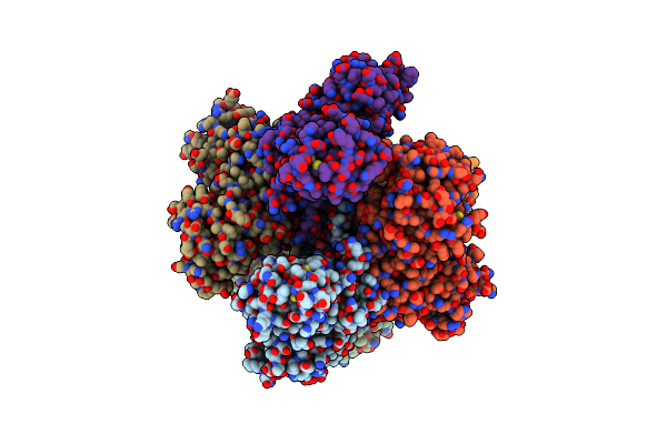 8WBE image