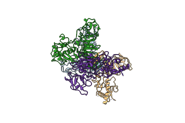 8WBF image