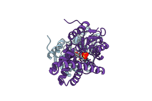 8WBN image