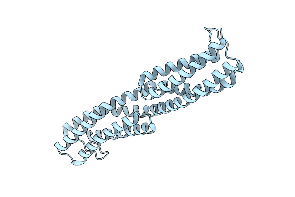 8WDF image