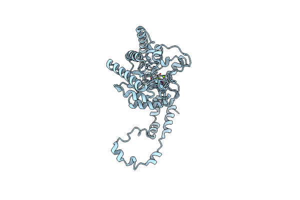 8WDH image