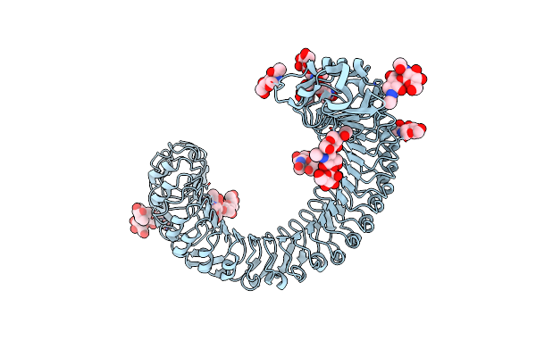 8WEH image