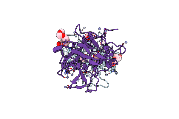 8WFO image