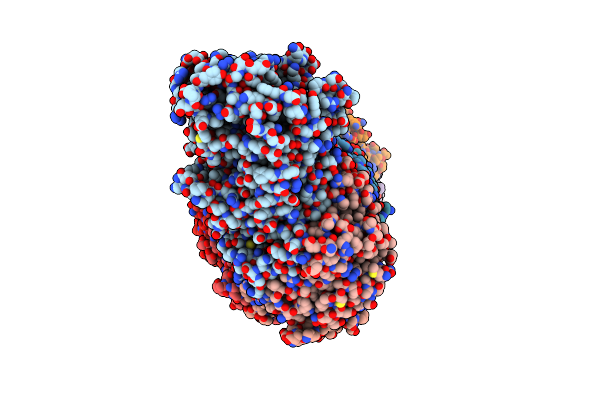 8WFX image