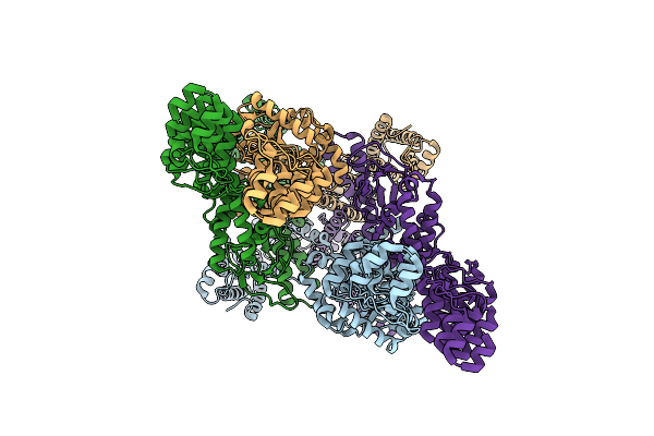 8WFZ image