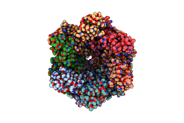 8WH0 image