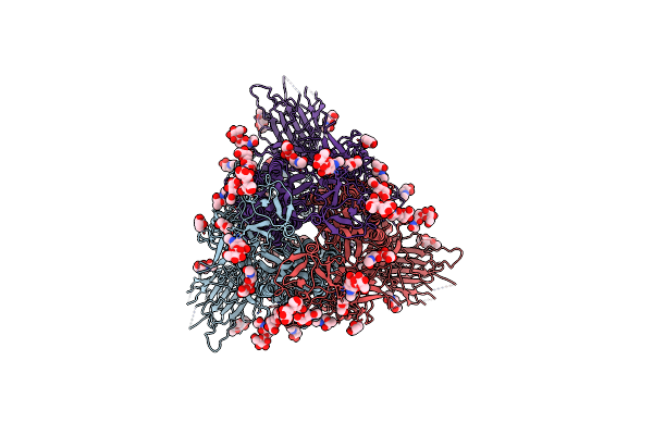 8WHV image