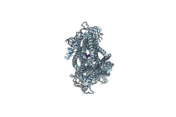 8WI2 image