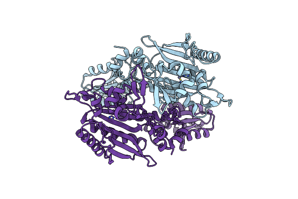 8WIA image