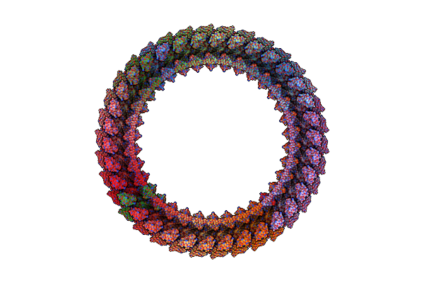 8WIW image