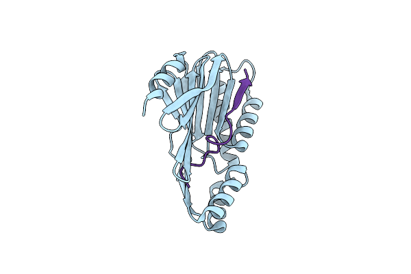 8WKD image