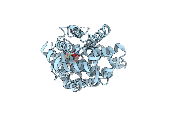 8WKF image