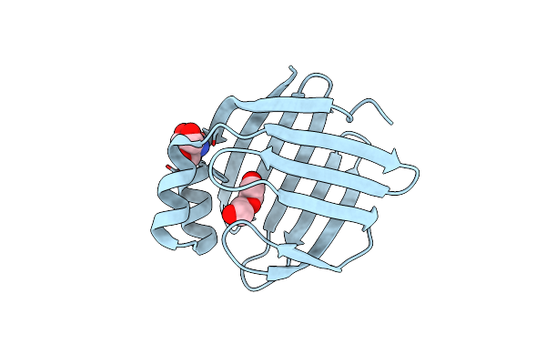 8WKH image