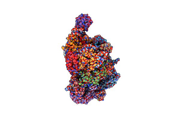 8WKP image