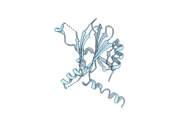8WLG image