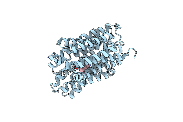 8WLM image