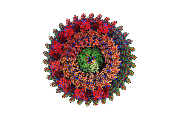 8WLT image