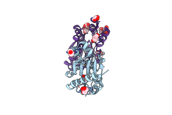 8WLX image