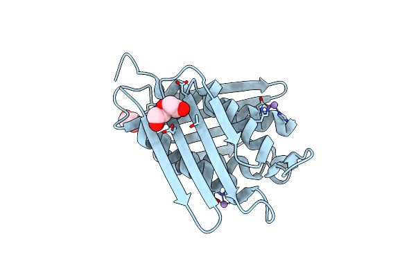 8WMP image