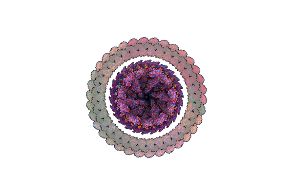 8WO5 image