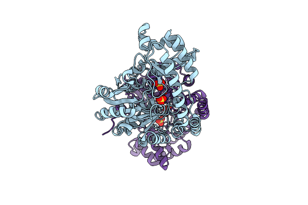 8WOU image