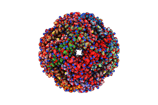 8WP9 image