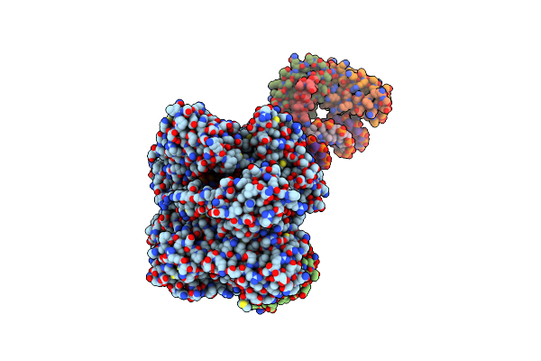 8WPK image