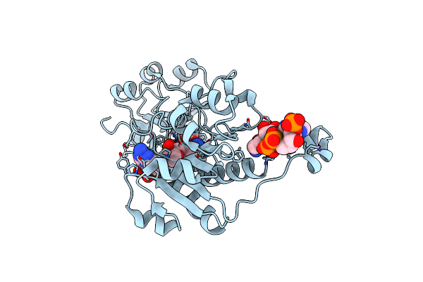 8WPO image