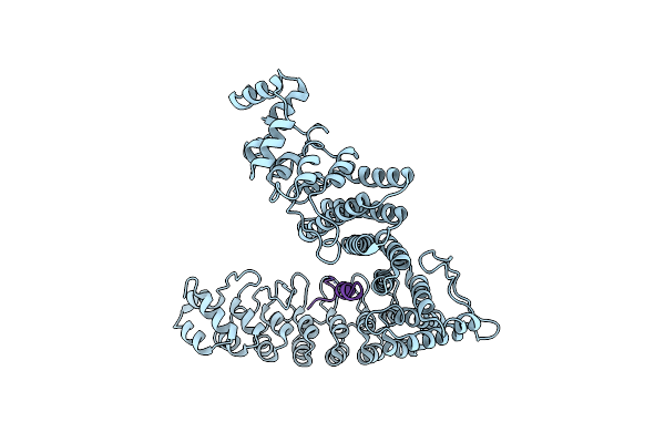 8WQI image