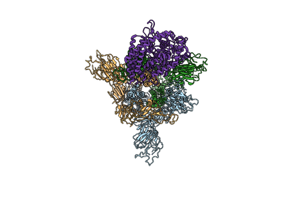 8WRO image