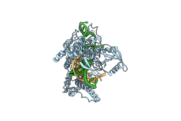8WRP image