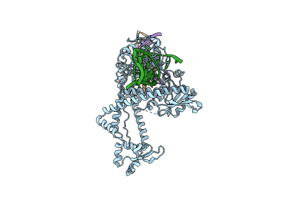 8WRS image