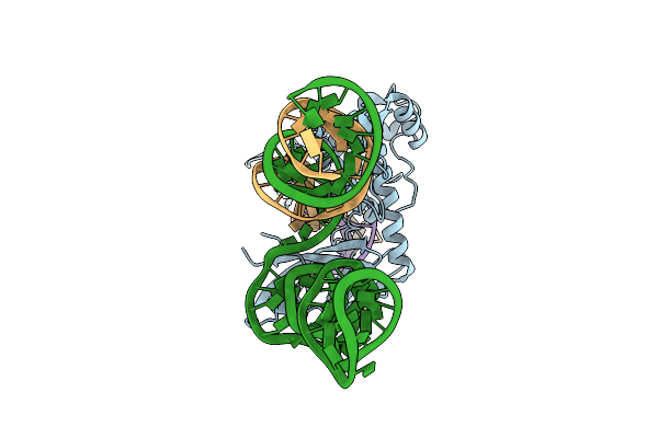 8WRV image