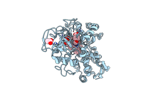 8WS4 image