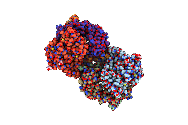 8WSN image