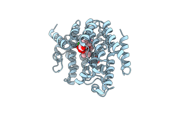 8WTR image