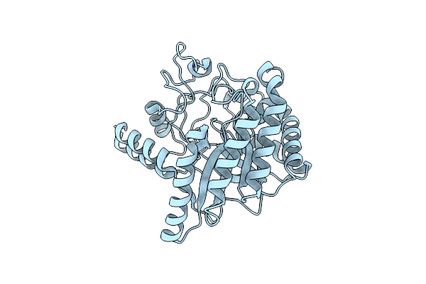 8WUP image