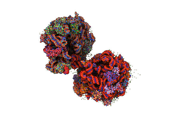 8WV1 image