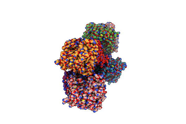 8WV2 image