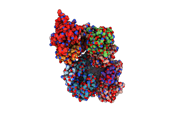 8WV3 image