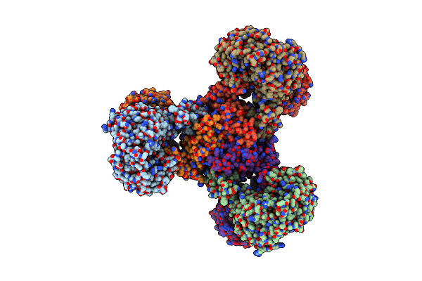 8WV6 image