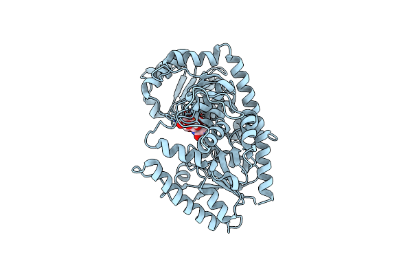 8WVD image