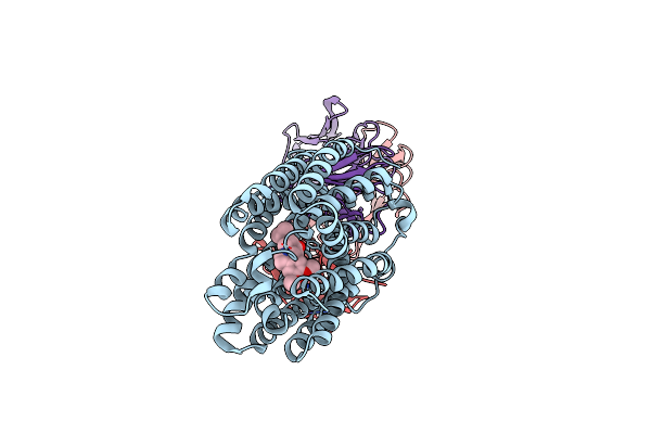 8WVG image