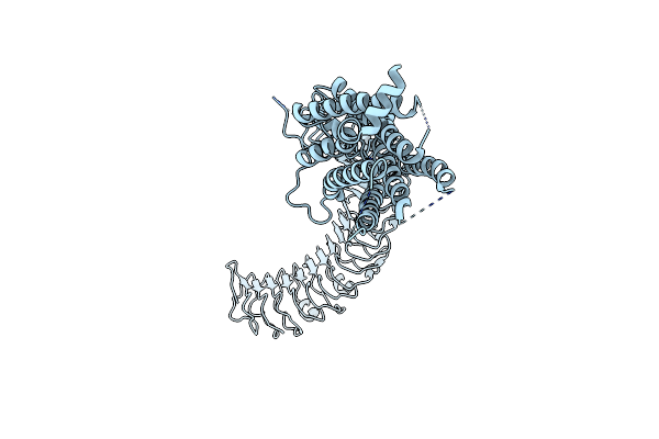 8WVV image