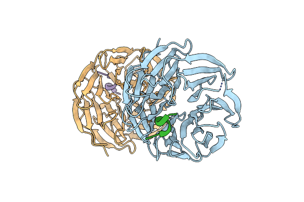 8WXV image