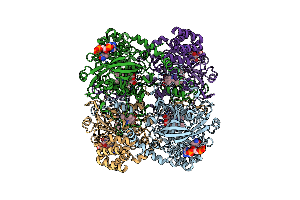 8WZH image