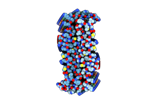 8WZX image